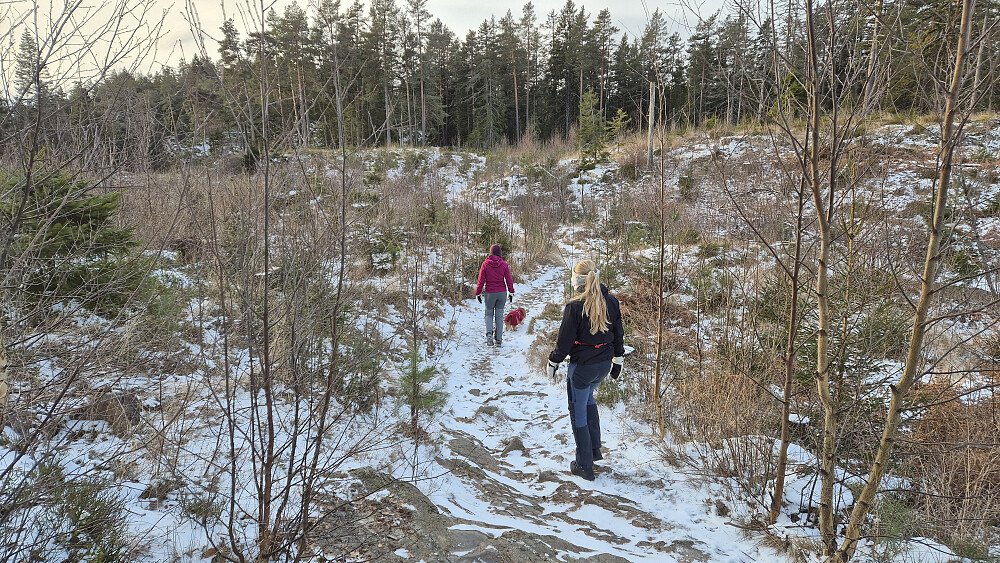 Tydelige og gode stier på stort sett hele turen. Og mange flere stier var det å velge i.