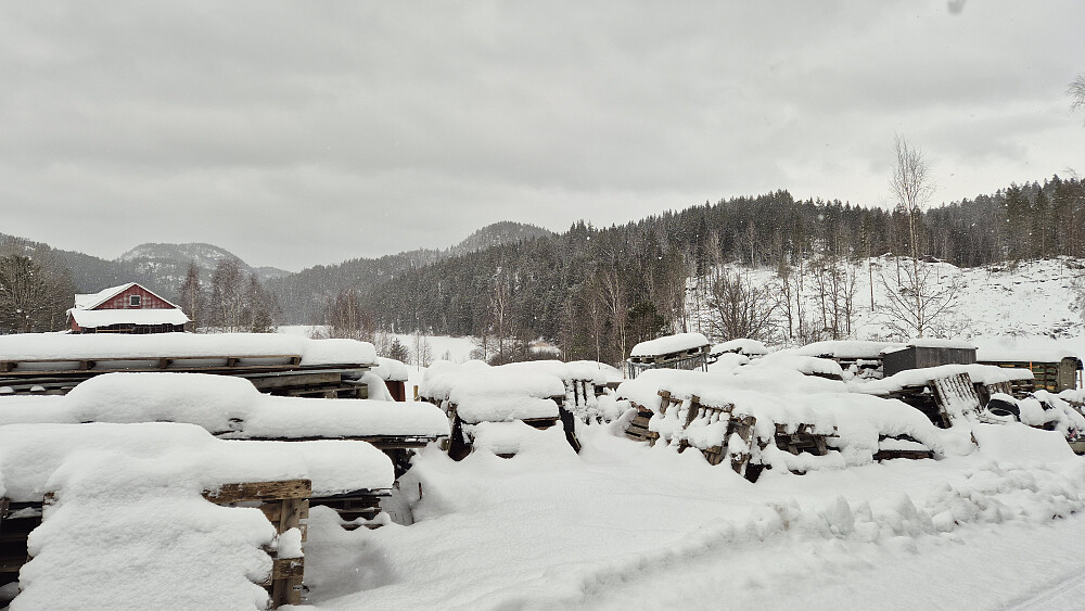 Jeg er på veien ved Frønes og ser mot Øykollen (215), som stikker opp midt i bildet. Åsen lengre bak og til venstre, er Antjennkollen (291).