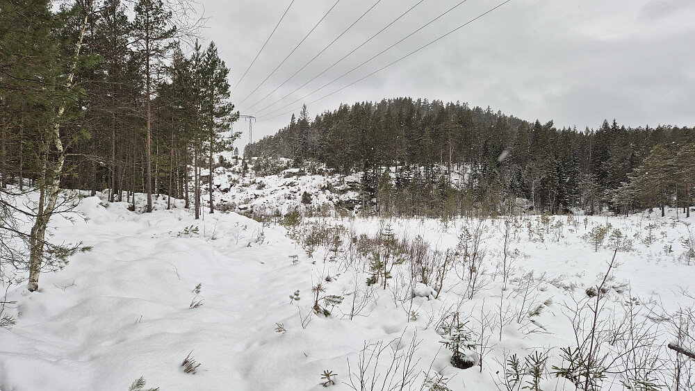 Ved myra under høyspentlinja, hvor jeg ser mot Øykollen (215). I første bakken litt til venstre, under kraftlinja, ses traktorveien gå på skrå opp mot høyre. Jeg fulgte den opp der, og så forsvant veien. Like etter kom et noe brattere parti oppover i skogen, før det ble slakt siste stykket bort til toppunktet.