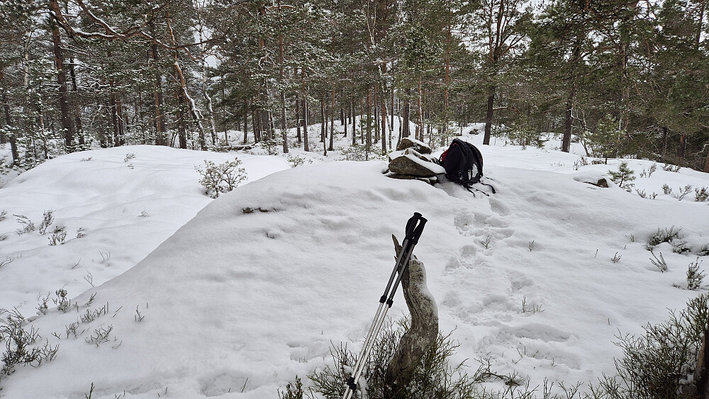 På toppen av Øykollen (215).