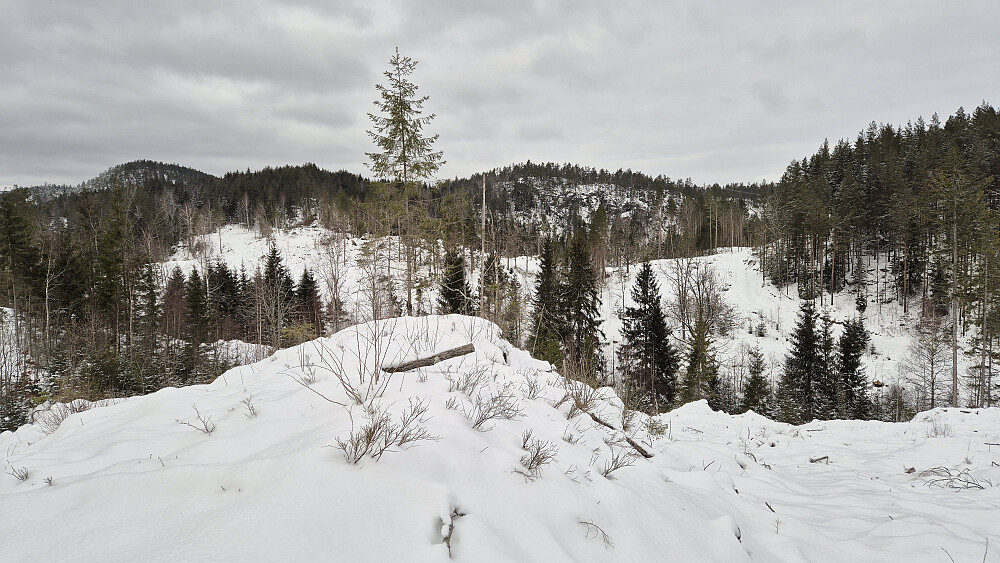 Jeg er på åsen like øst for gården Frønes, og ser tilbake mot bl.a Øykollen (215), som er høyeste topp i bakgrunnen til venstre. Den andre toppen jeg besøkte, Svarttjennfjellet (143), er nokså midt i bildet.