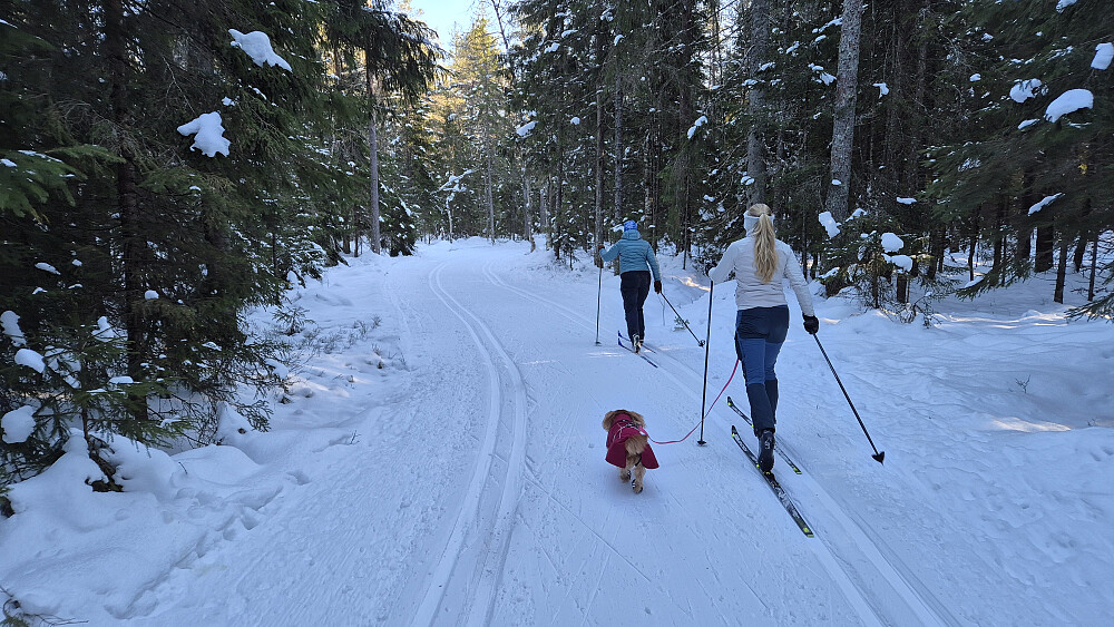 På vei sørøstover, ved Småvanna.