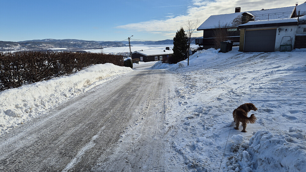 På vei nedover. I bakgrunnen midt i bildet er Drammensfjorden.