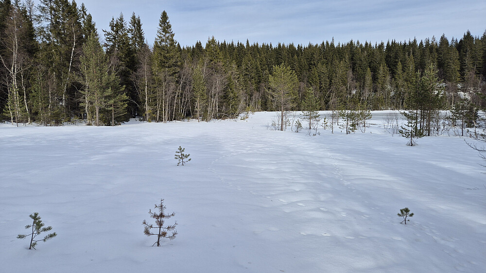 Ved Misuringsvann, som er bak til høyre i bildet. Omtrent herfra gikk jeg med truger. Prøvde først uten, men da sank jeg nesten nedi til knærne.