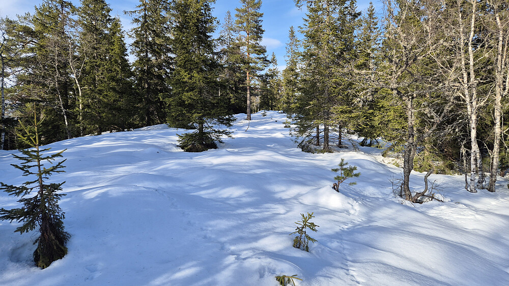 De siste 50 meterne mot toppen av De brendte åsane (540). Toppunktet befinner seg like bak den øverste snøen midt i bildet.