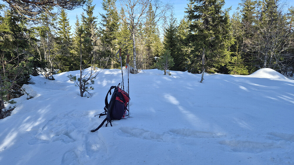 Toppen av De brendte åsane (540) er omtrent her. Flatt toppområde med skog, så ikke mye spennende.