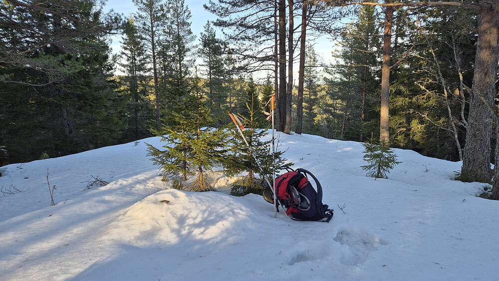 På toppen av Kariåsen (468). Dette var den fineste av dagens to topper. Absolutt ikke noe spektakulær topp dette heller, men noen meter lengre sør er det muligheter for utsikt sørover.