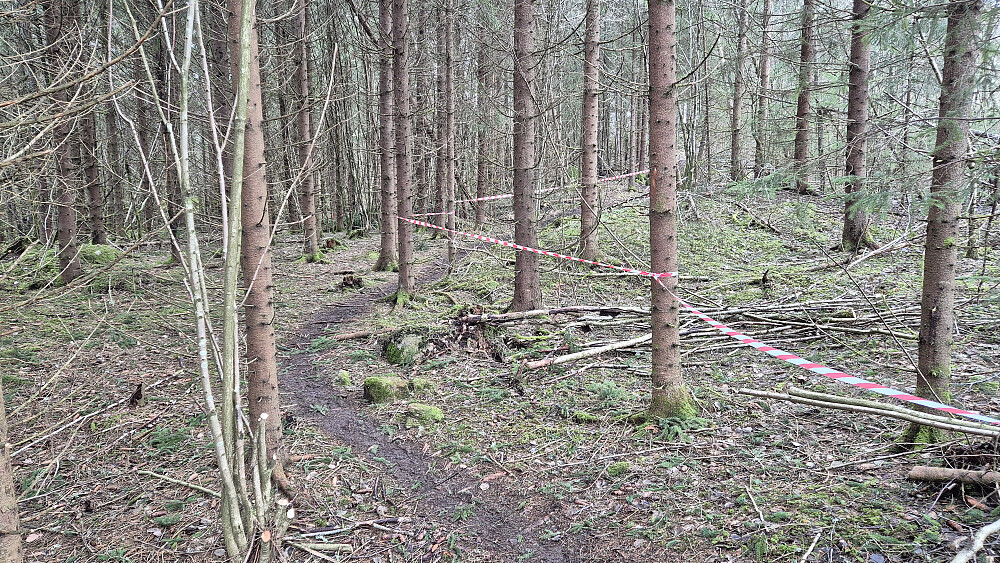 I starten, forbi gården Fosse, var stien lagt om pga hogst.