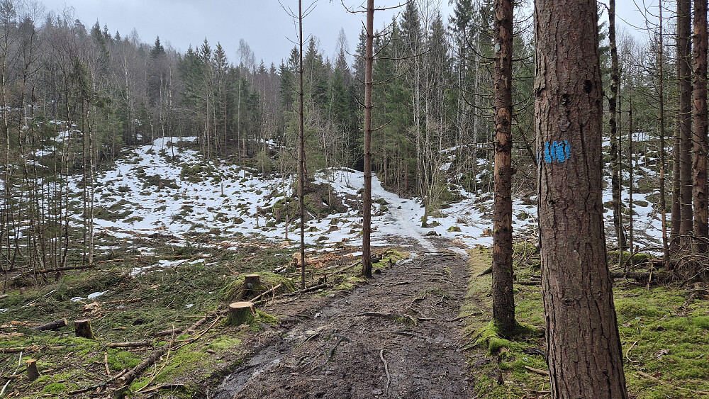 Stien mot Fjerdingen var i hovedsak enten sølete og våt, eller dekket av en del is. De isete partiene var nokså enkle å omgå, så de skapte ikke store problemer. Men skoene ble skitne.