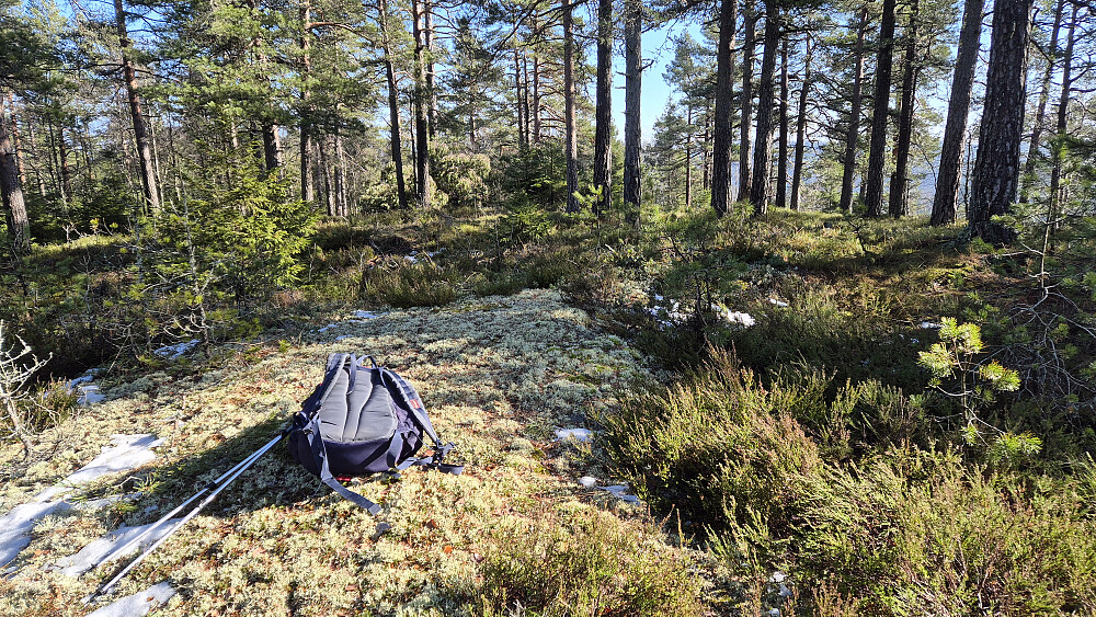 På toppen av Himåsen (312). Toppområdene var blitt temmelig snøfrie nå, bortsett fra på Fjerdingen.