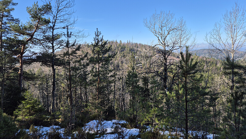 Jeg står nordvest for Himåsen (312) og ser over mot neste turmål, Skipsåsen (289). Her går det straks litt brattere ned mot en traktorvei jeg skulle følge drøyt 100 meter. Deretter litt opp og ned over et par mindre rygger, før jeg nådde en ny traktorvei på østsiden av Skipsåsen.