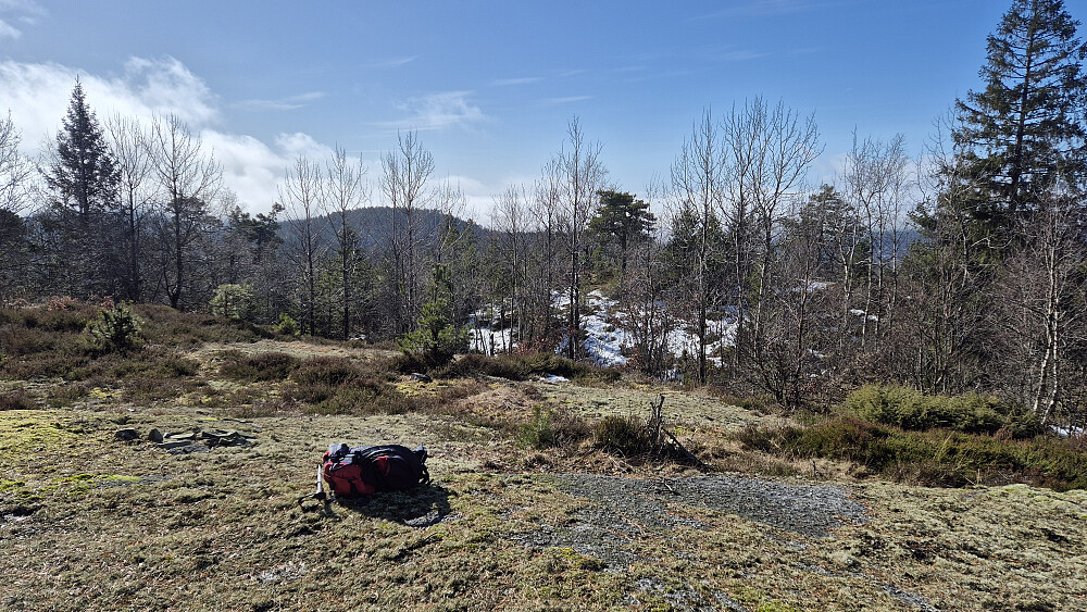 På toppen av Skipsåsen (289). Bildet tatt mot sør/sørvest.