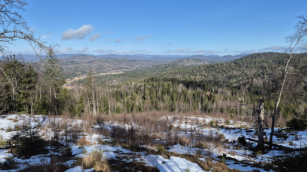 I nordsiden på Skipsåsen lå det igjen noe snø. Den var forholdsvis lett å gå i, som å vasse i slush. På grunn av hogstfeltet var det her jeg fikk dagens beste utsikt. Bildet tatt mot nord.