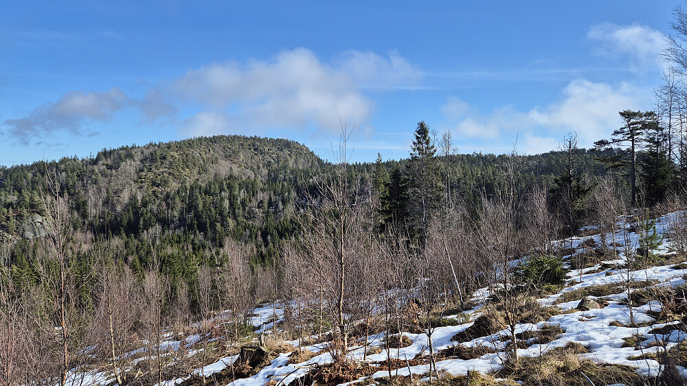 Jeg står i nordsiden på Skipsåsen hvor jeg fikk god utsikt tilbake mot Fjerdingen, som herfra ruvet litt i landskapet.
