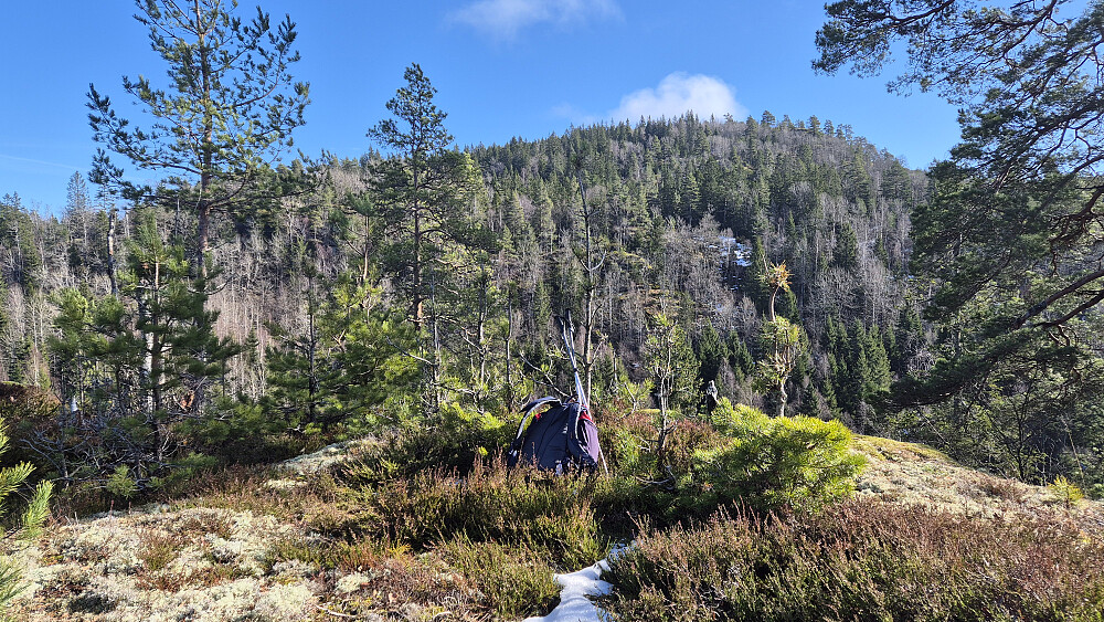 På turens siste topp, Nordøst for Skavråkåsen (214). Skaret mellom denne toppen og den forrige, Skavråkåsen (224), var litt ulendt og vått. Bildet er tatt mot Fjerdingen (360).
