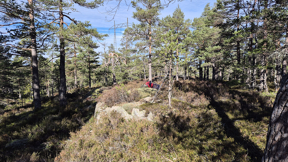 Sekken min ligger på toppen av Storefjell (266). Er nok ikke mye trafikk hit. Ingen stier å se her oppe, og bare så vidt en markering av toppunktet. 