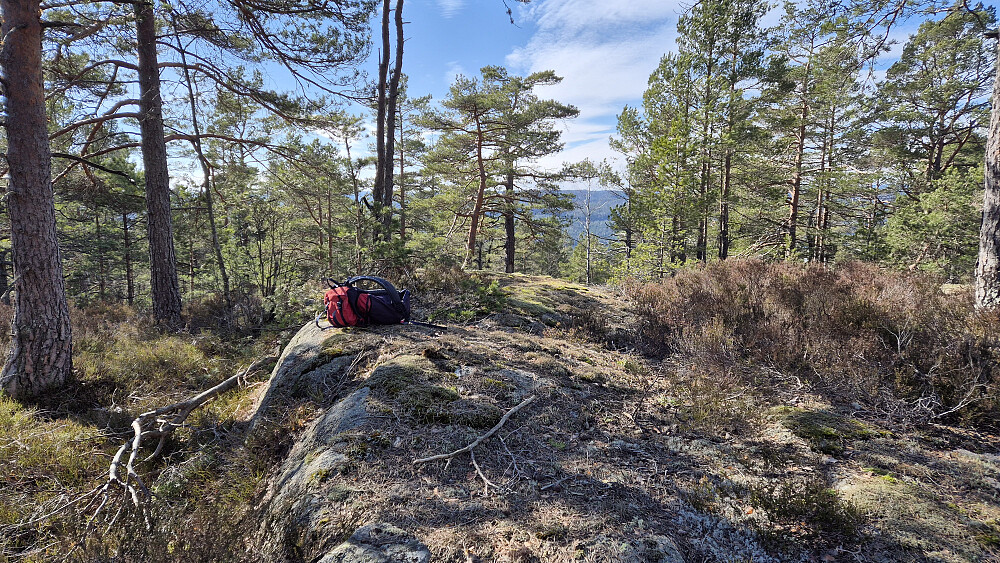 Toppunktet på Uletjennheia (252).