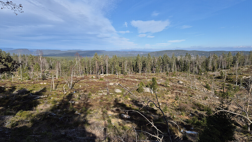 I østsiden på Eikelifjellet. Utsikt mot nordøst.