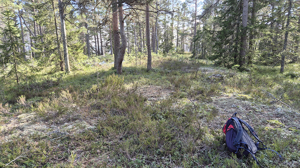 Temmelig flatt på toppen av Eikelifjellet (260).