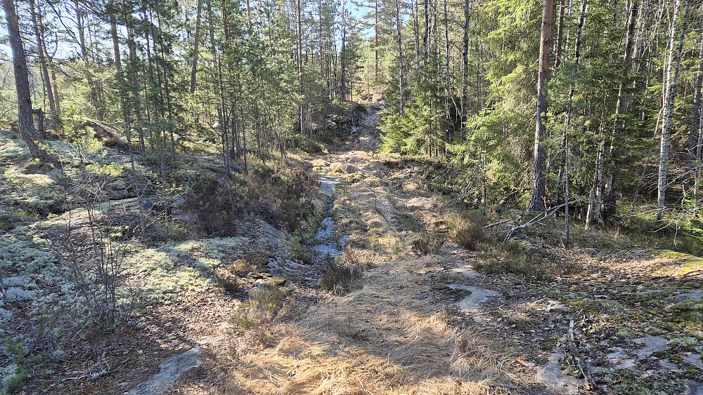 Traktorveien jeg fulgte mot Laksvassfjellet.