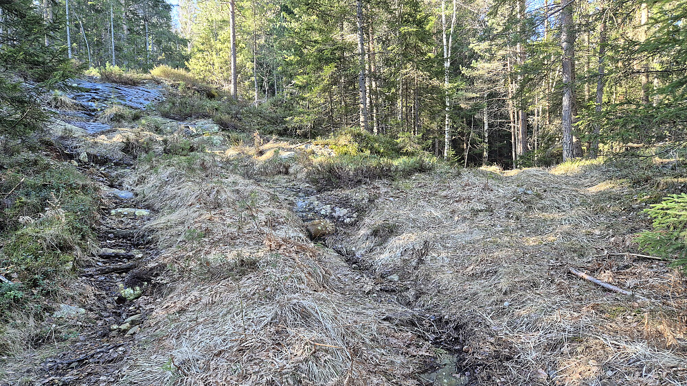 På ca 155 meters høyde delte traktorveien seg. Den til høyre er stiplet inn på kartet, mens den som går bratt opp mot venstre ikke er det. Og det var den opp til venstre jeg fulgte videre mot toppen.