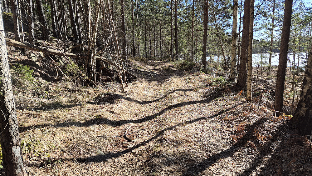 På kjerreveien like vest for Soltjenn, som ses til høyre. Her gikk jeg straks ut i terrenget mot venstre for å bestige Store Solåsen (230).