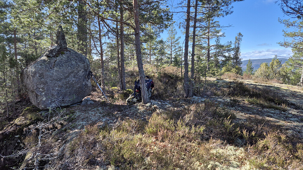 På Store Solåsen (230), hvor aller høyeste punkt var oppå den svære steinen. Høyeste faste punkt var noen meter lengre bak.