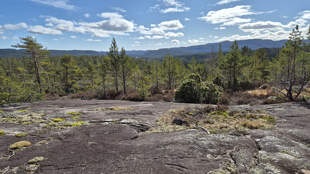 Like sørøst for toppen av Litle Solåsen (170) var det lav furuskog og en del svaberg. Veldig fint å gå her. 