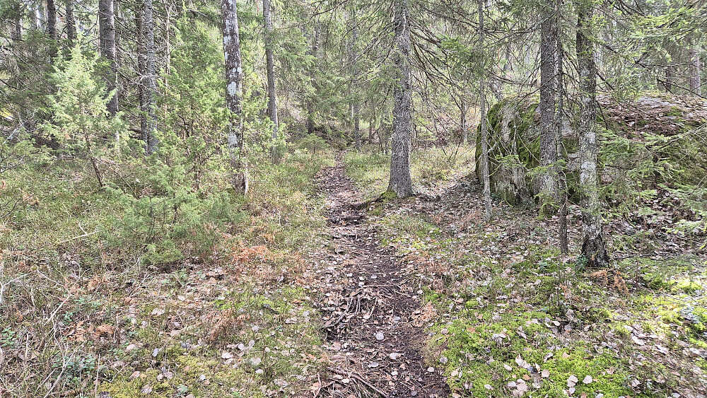 Stien oppover mot Hestlihaugen.