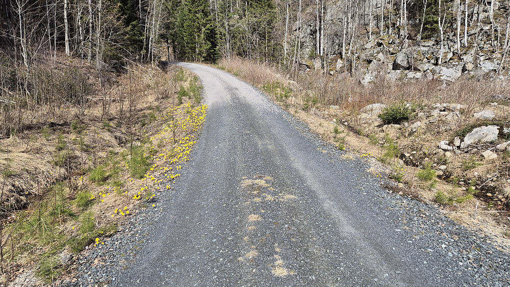 Grusveien på starten av turen. Mye hestehov langs veien akkurat her.