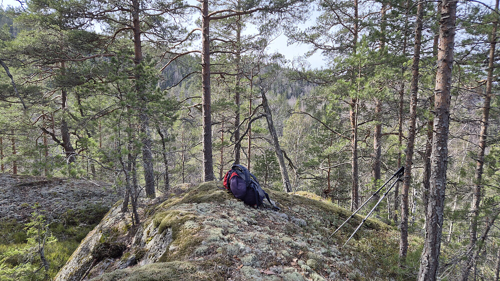 På toppen av Eikliåsen (264).