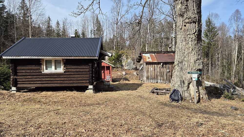 Per Kittilsens stue. Ganske så svær den eika som står her.