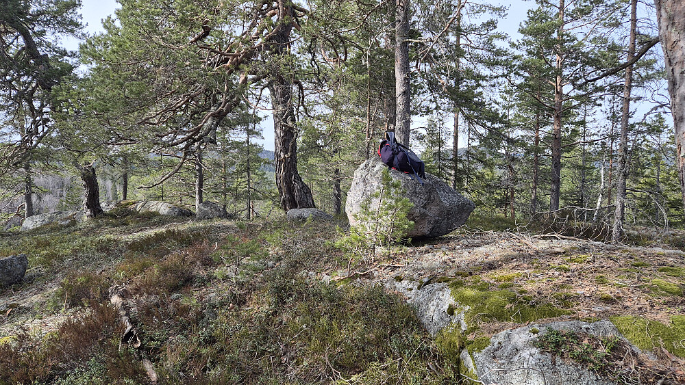 På toppen av Tjuvhellerknatten (332).