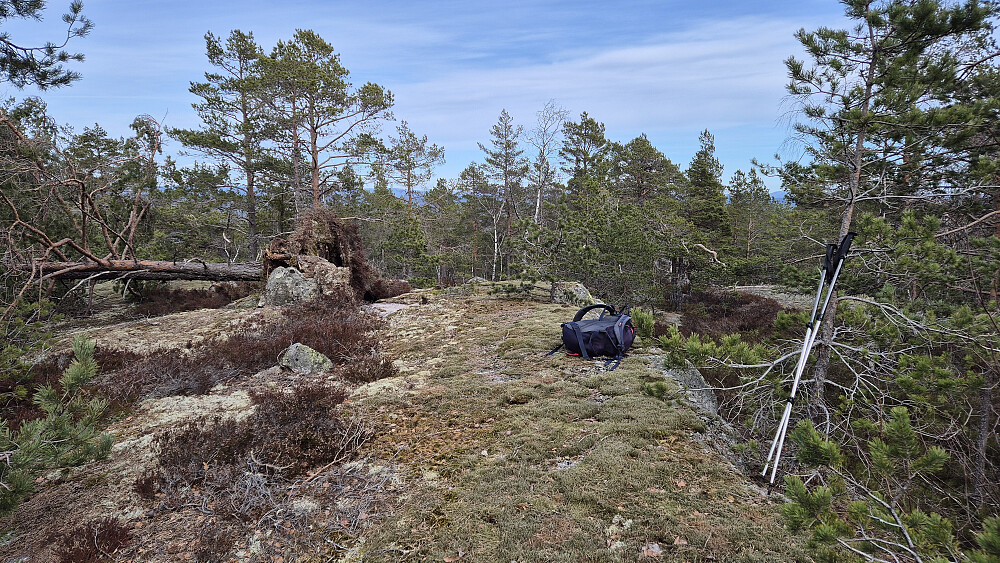 På toppen av Asgjerdstigfjellet (417). Nå hadde sola blitt borte bak skylaget, og kom ikke fram igjen på resten av turen.