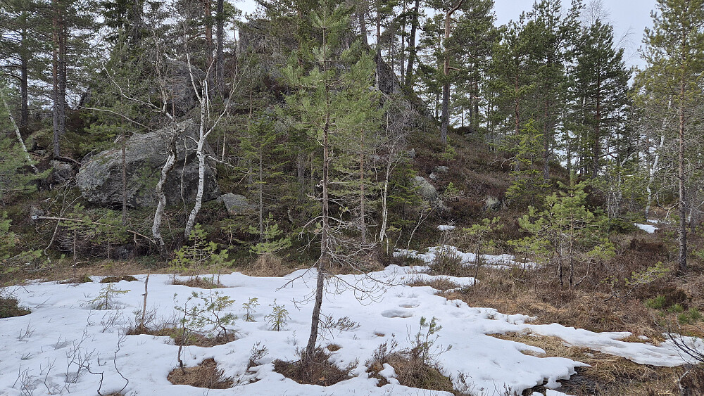 Jeg vandrer mellom småkollene på Lille Maurkollen. Foran meg har jeg høyden på 373,4 moh.