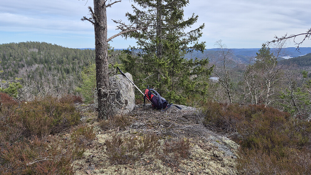 Toppunktet på Store Maurkollen (410). Herfra var det god utsikt i sørlig retning. Åsen i bakgrunnen helt til venstre, er Asgjerdstigfjellet (417).