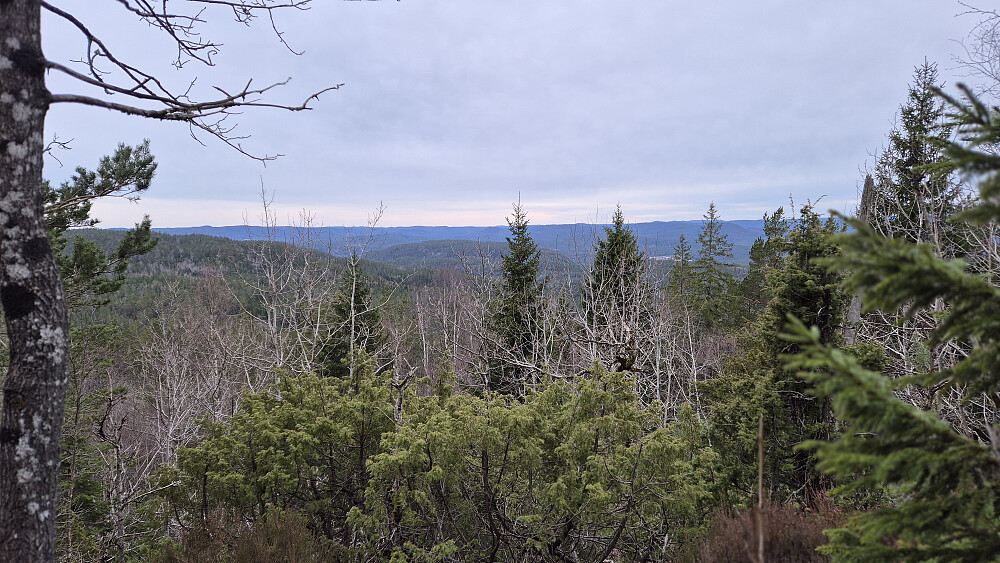 Der stien gjør en stor sving mot sør, litt sør for Rundkoll (426), var det noen åpninger som ga utsikt i sørlig retning.