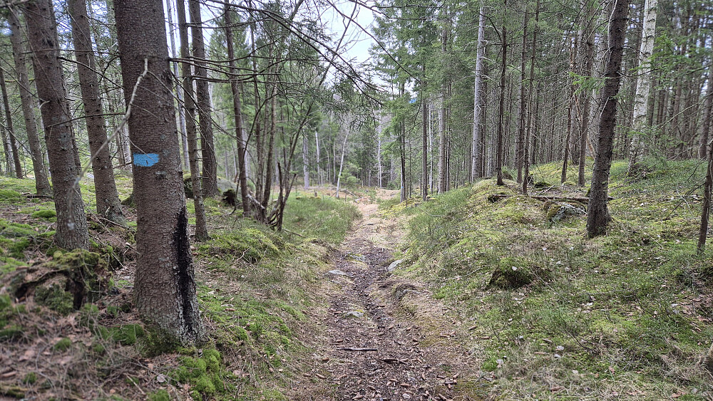 Fra returen, på blåmerket og tydelig sti. Her på vei nedover mot Høymyr.