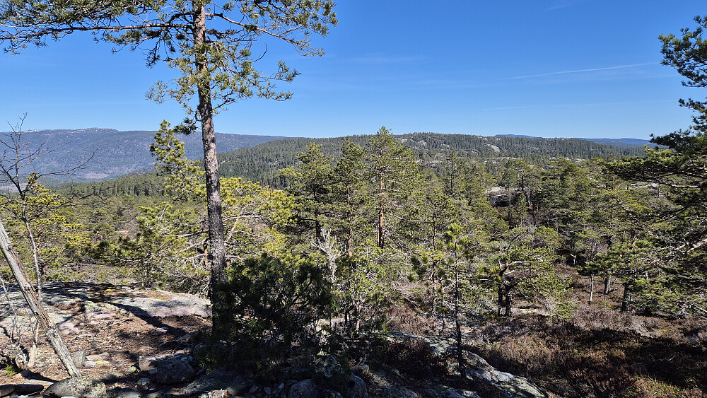 Utsikt østover fra toppen av Nysefjell (554). I bakgrunnen og nesten midt i bildet, ses Vardefjell (587).