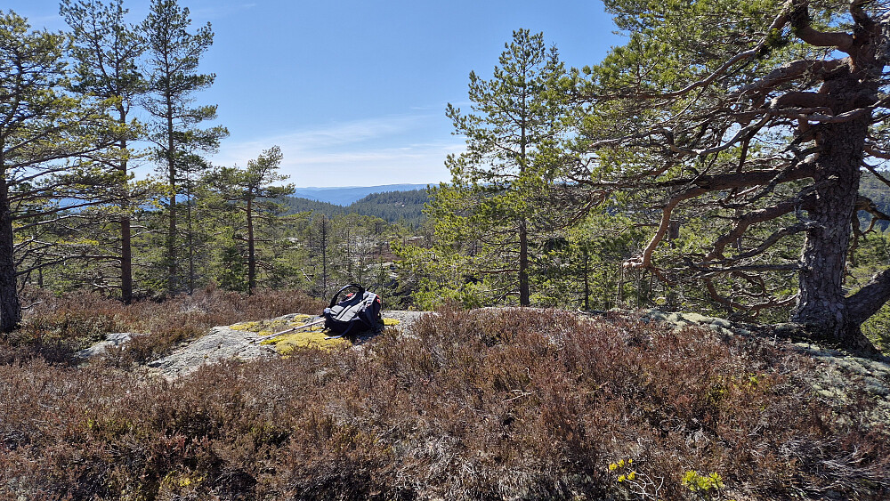 På toppen av Mannbeinfjell (535).