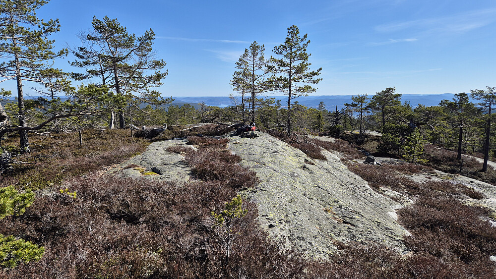På svaberget midt i bildet er toppunktet på Vardefjell (587). Bildet tatt mot sør/sørøst.