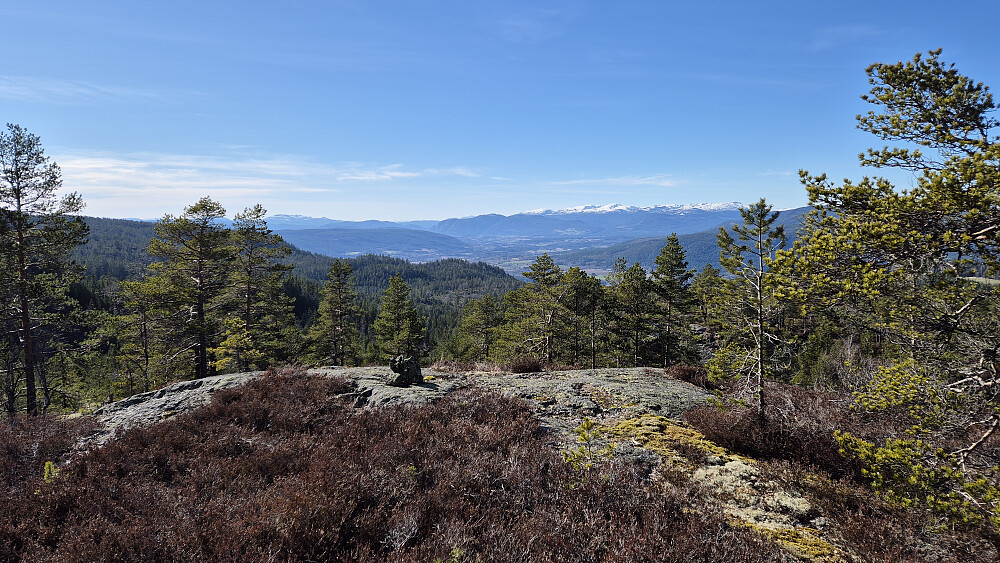 Vidstrakt og fin utsikt fra Fugleleik-haugene (492), særlig fra berget noen meter lengre fram, hvor det er en liten varde. Jeg står på høyeste punkt som var litt mer tilbaketrukket med noen flere trær tettere innpå. De snødekte fjellene litt til høyre i bildet er Lifjell.