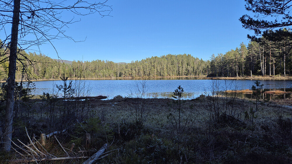 Igletjønn, sett fra kjerreveien som går langs vestsiden.