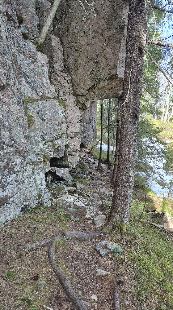 Like nord for Måna går stien langs med et stup og delvis under overhengende fjell.