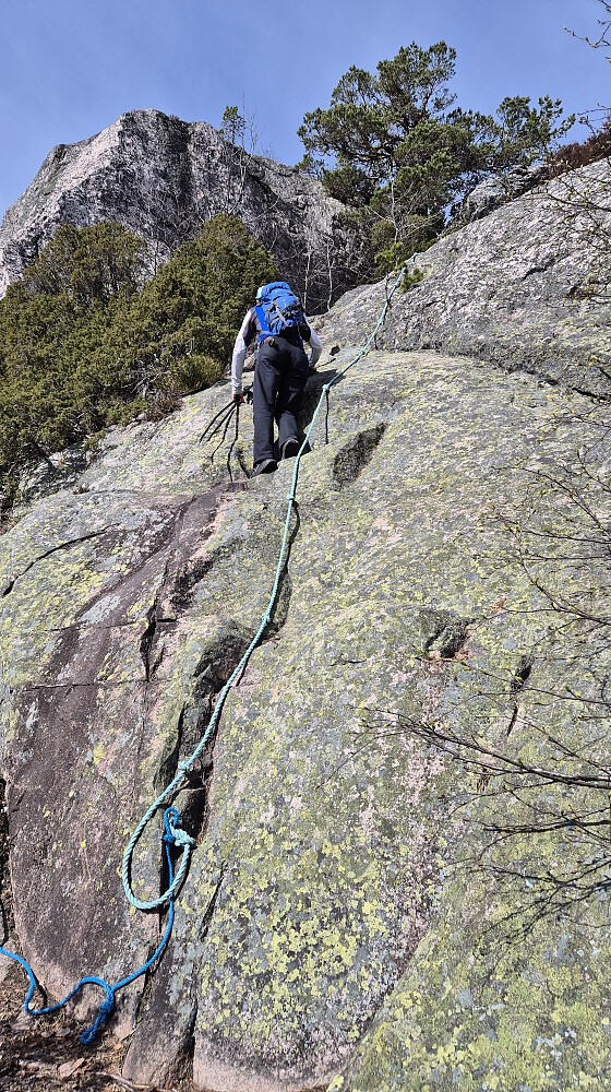 Tørt og fint opp mot Rønnomnibben (615), så tauet var ikke nødvendig i dag. 