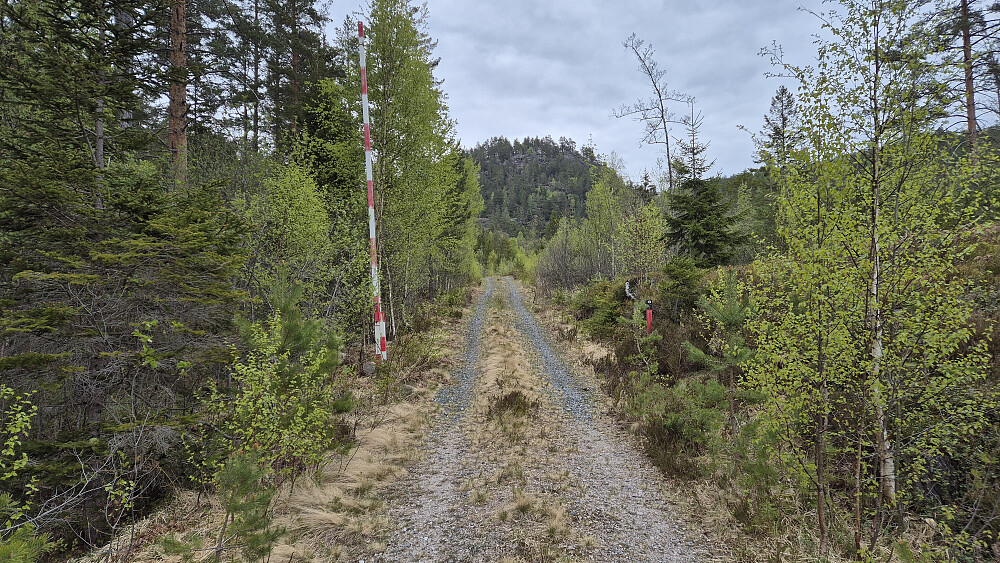 Etter å ha vandret på den gamle traséen til Drangedalsvegen, fortsatte jeg slakt oppover denne skogsbilveien. I Gongedalen fikk denne veien mer traktorveistandard, men var fortsatt fin å følge. Åsen bak midt i bildet, er Meheifjellet (382).