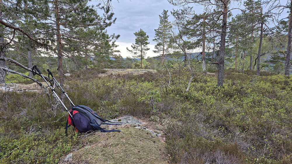 Toppområdet på Gongefjell (396). Aller høyeste punkt er utenfor bildet til høyre.