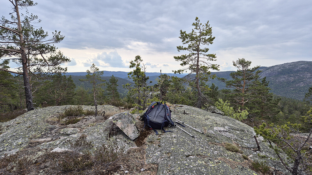 Toppunktet på Stulsfjellet (480). Her med utsikt mot sør-sørøst.