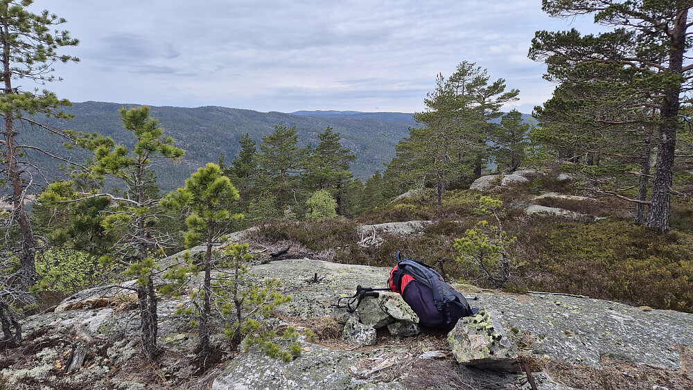 Utsikt i sørvestlig retning fra toppen av Stulsfjellet (480).