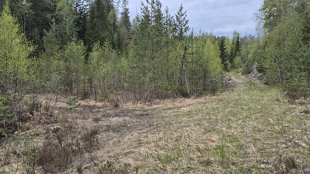 Veikrysset vest for Bjortjønn hvor jeg møtte traktorveien jeg hadde fulgt tidligere på turen. Etter Gongefjell (396) kom jeg fra traktorveien til høyre her. Nå fortsatte jeg på den som forsvinner ut til venstre.